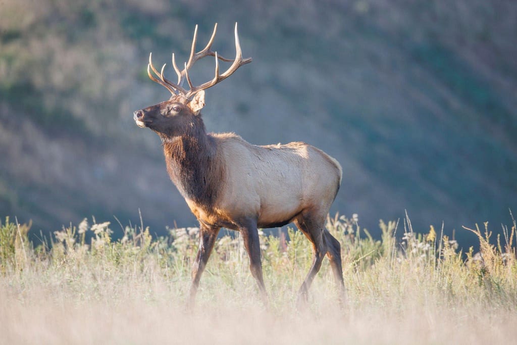 Tour Calendar Maxwell Wildlife Refuge